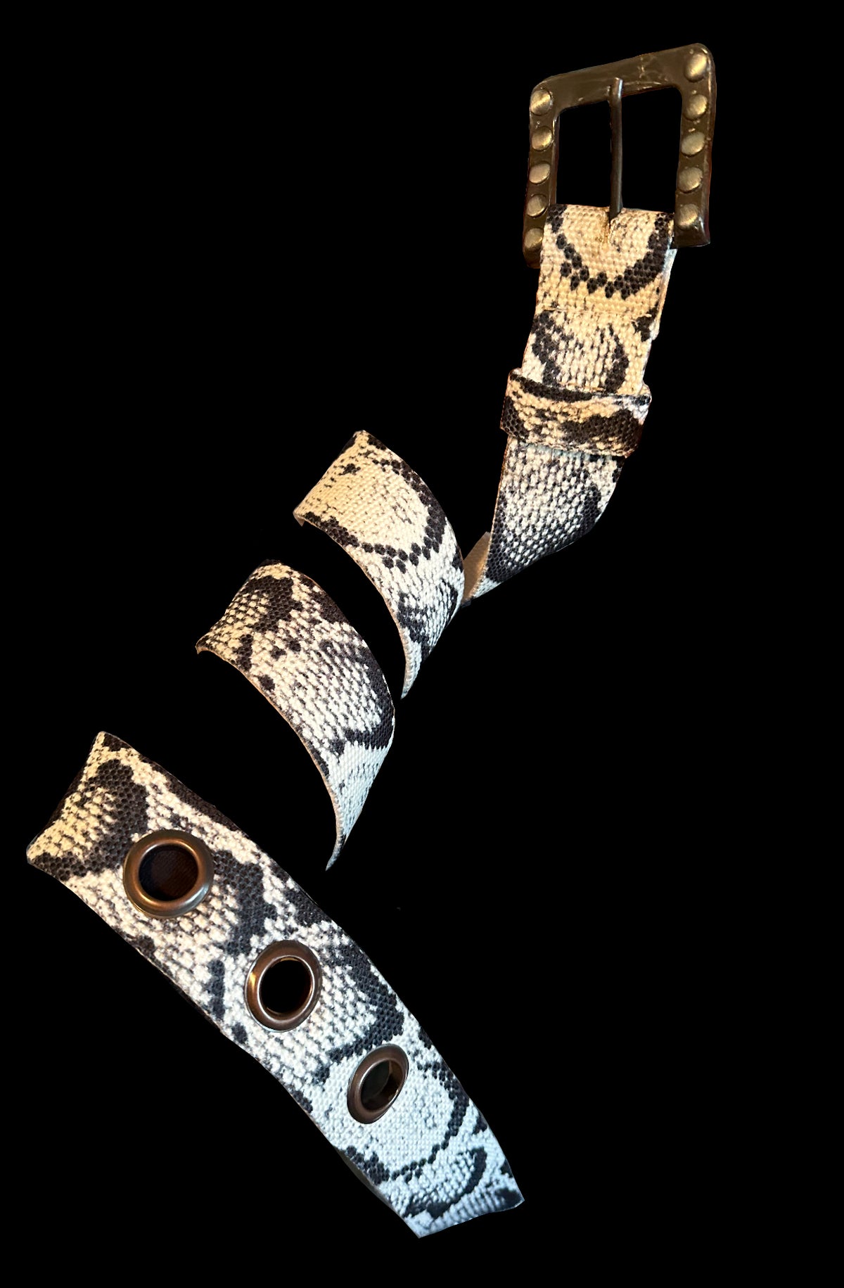 Temptation Belt